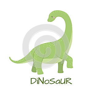 Cute baby brontosaurus dinosaur isolated on white