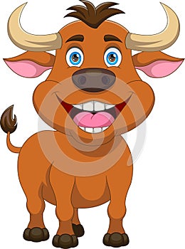 cute baby bull cartoon