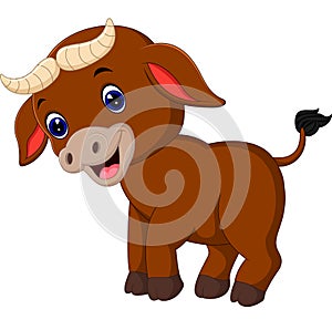 Cute baby bull cartoon