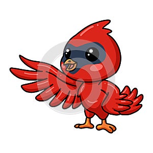 Cute baby cardinal bird cartoon presenting