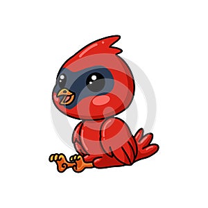 Cute baby cardinal bird cartoon sitting