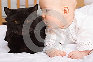 Cute baby with cat