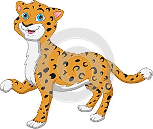 Cute baby cheetah cartoon on white background