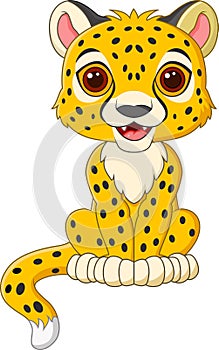 Cute baby cheetah sitting isolated on white background