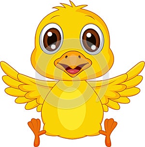 Cute baby chicken cartoon