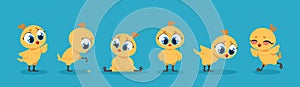 Cute baby chicken. Cartoon chick bird character, funny poultry animal isolated set. Vector young little chickens for kid
