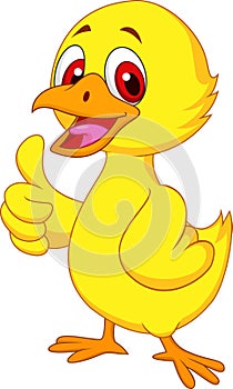 Cute baby chicken cartoon with thumb up