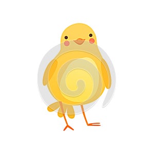 Cute baby chicken, funny cartoon bird character vector Illustration on a white background