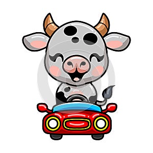 Cute baby cow cartoon driving red car