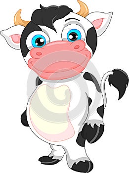 Cute baby cow cartoon