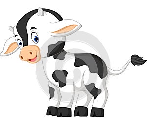 Cute baby cow cartoon