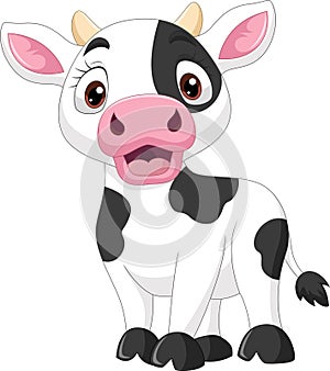 Cute baby cow cartoon on white background