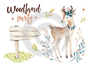 Cute baby deer animal nursery isolated illustration for children. Watercolor boho forest drawing, watercolour, image