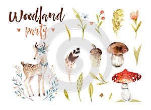 Cute baby deer animal nursery isolated illustration for children. Watercolor boho forest drawing, watercolour woodland