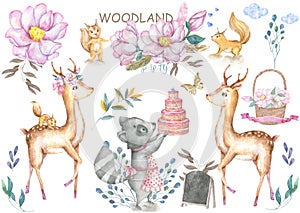 Cute baby deer and roccoon with tasty cake animal isolated illustration for children. Bohemian watercolor boho forest deer family