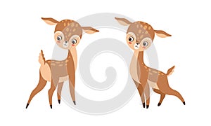 Cute Baby Deer with Spots as Adorable Hoofed Mammal Living in Forest Vector Set