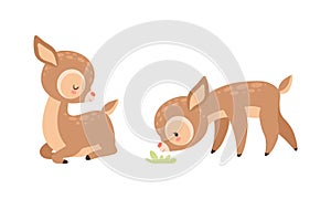 Cute Baby Deer with Spots as Adorable Hoofed Mammal Sitting and Smelling Grass Vector Set