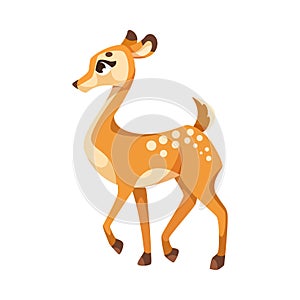 Cute Baby Deer with Spots as Adorable Hoofed Mammal Vector Illustration