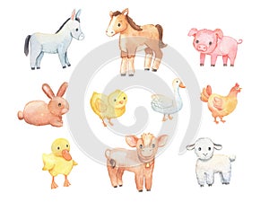 Cute baby donkey, lamb and chicken isolated on white. Watercolor farm animals set.