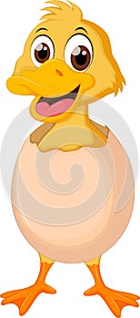 Cute baby duck cartoon on egg