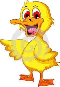 Cute baby duck cartoon