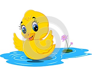 Cute baby duck cartoon