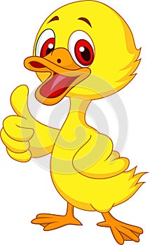 Cute baby duck cartoon thumb up