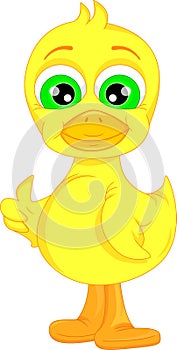 Cute baby duck cartoon thumb up