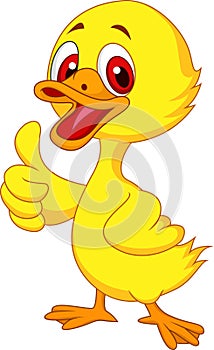 Cute baby duck cartoon thumb up photo