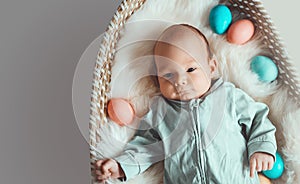 Cute baby Easter bunny. Little baby boy with bunny ears and Easter eggs in wicker basket in white fur. Symbol of Easter holiday,