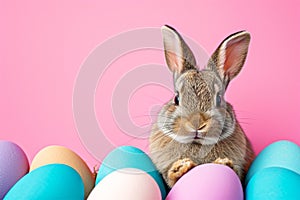Cute baby Easter rabbit sitting on pink wall, pastel colored eggs