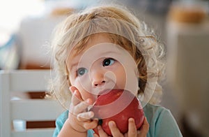 Cute baby eat apple. Portrait of cute adorable caucasian child kid eating fruit.