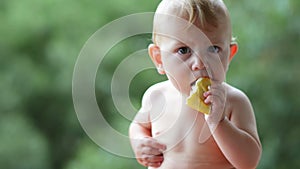 Cute Baby Eating Bread