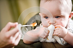 Cute baby eating solid food from a spoon