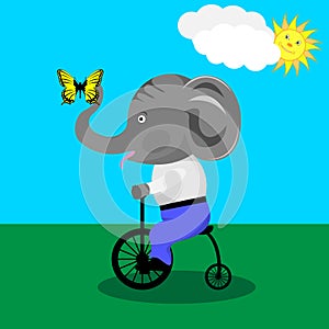 Cute baby elephant on bicycle