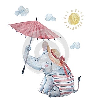 Cute baby elephant in swimsuite and large brimmed hat under sun isolated on background