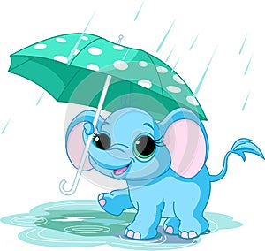 Cute baby elephant under umbrella