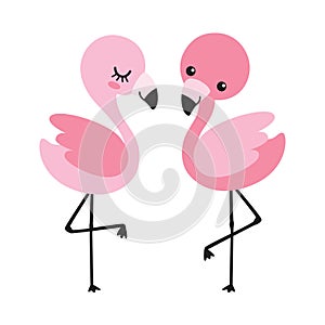 Cute Baby Flamingo Couple Vector Illustration