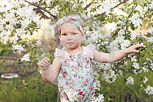 Cute baby girl on a background of white blossoms of an apple tree