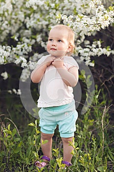 Cute baby girl on a background of white blossoms of an apple tree