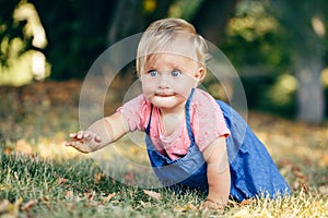 Cute baby girl crawling on ground in park outdoors. Adorable child toddler exploring studying the world around. Healthy physical