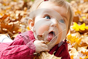 Cute baby girl eating autumn leaves