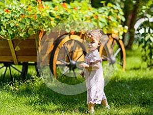 Cute baby girl in a garden