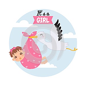 Cute baby girl with pacifier are being carried by a stork. Baby gender reveal card.