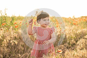 cute baby girl in red dress holding large dandelion on field of poppies at summer sunset