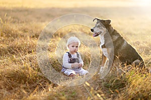 Cute Baby Girl Relaxing in Country with German Shepherd Pet Dog