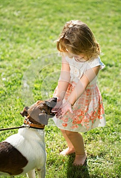 Cute baby girl with Russell Terrier dog on green grass in summertime. Funny little kid on nature. Happy Childhood.