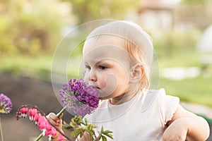 Cute baby girl smelling purple Allium flower in the garden