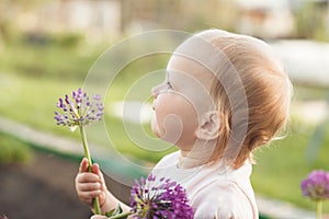 Cute baby girl smelling purple Allium flower in the garden