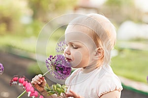 Cute baby girl smelling purple Allium flower in the garden